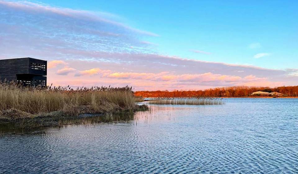 “Walking on Water!”: Just an hour from Brussels, this natural area features trails suspended above the water—it’s home to observation towers and playgrounds!