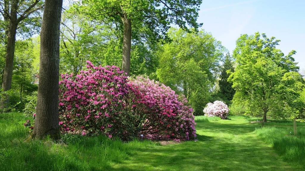 Wespelaar Arboretum