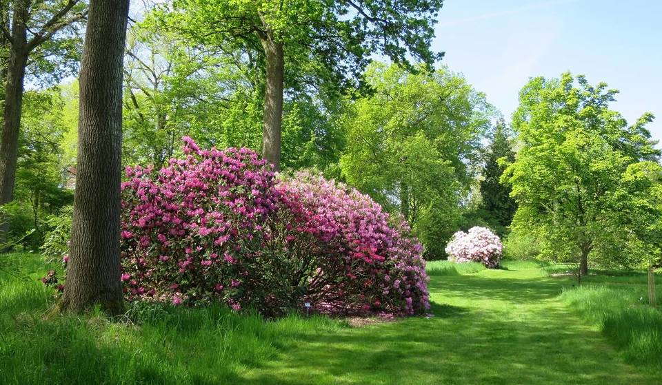 Just 40 minutes from Brussels, this estate hidden behind a mysterious red door unveils a collection of 2,300 preserved plant species—a poetic stroll through 20 hectares of natural beauty