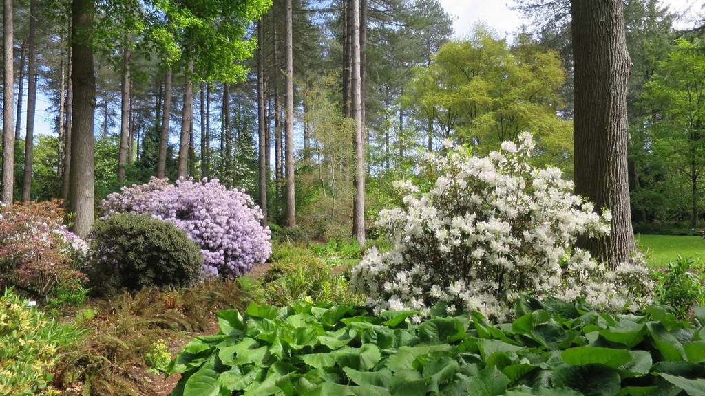 Wespelaar Arboretum
