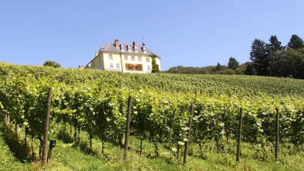 Château de la Mazelle