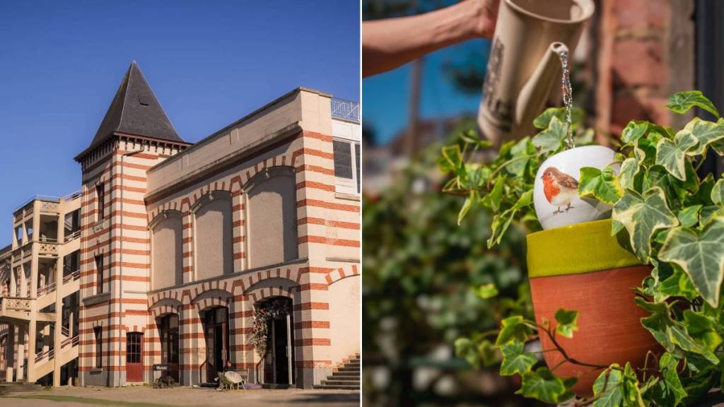 Brussels is set to host its first major plant festival: a free weekend event is coming to the Boitsfort Hippodrome