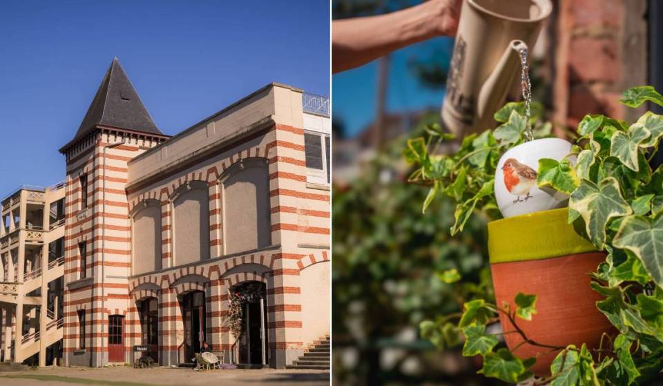 Bruxelles va accueillir sa première grande fête des plantes : un week-end gratuit débarque à l’Hippodrome de Boitsfort