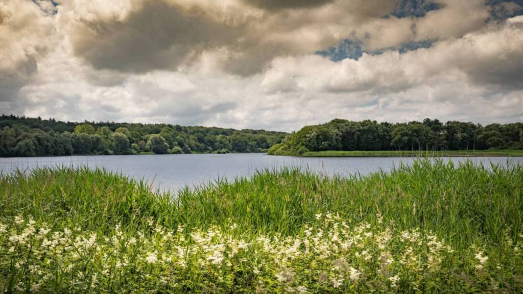 Lac de Bambois