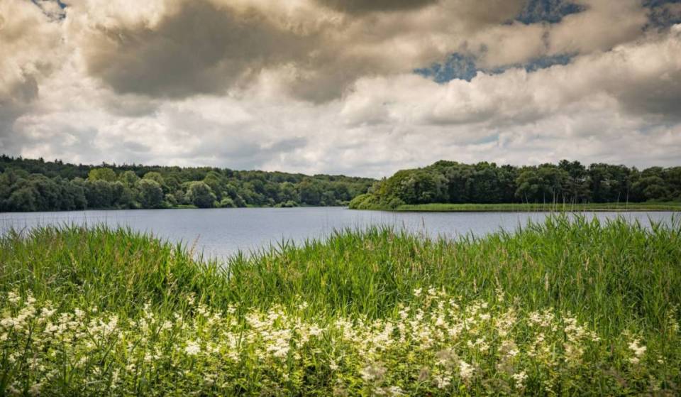 Forget the coast: just an hour from Brussels, this Natura 2000-designated lake boasts two fine-sand beaches and sensory gardens—a freshwater swim in the heart of 48 hectares of summer activities