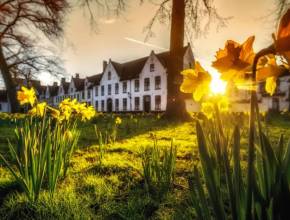 À 1h30 de Bruxelles, la « Venise de Belgique » dévoile un béguinage exceptionnel classé à l&rsquo;UNESCO – un site historique exclusivement habité et développé par des femmes depuis 1242