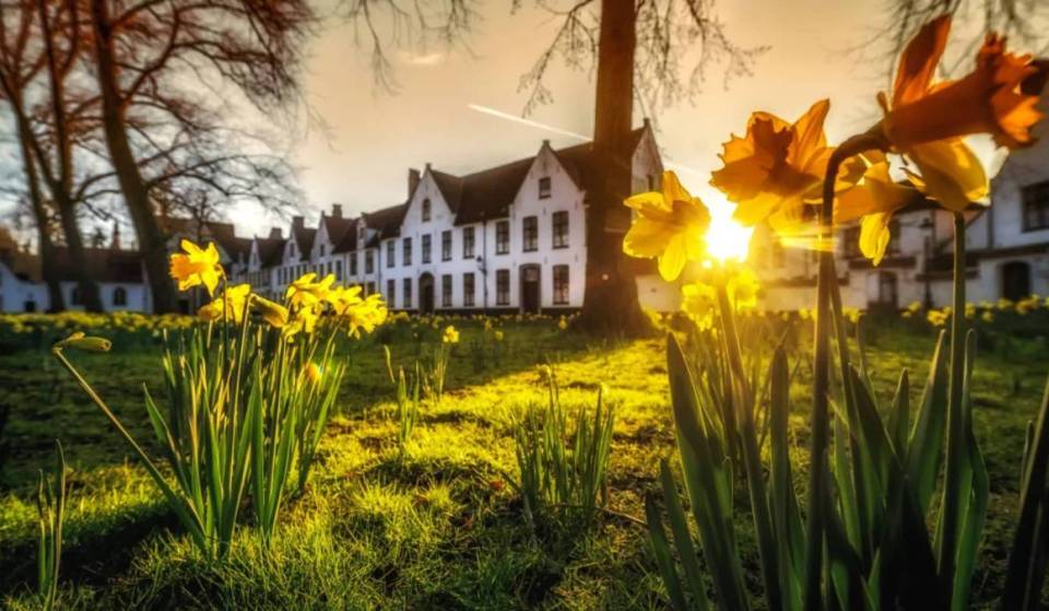 À 1h30 de Bruxelles, la « Venise de Belgique » dévoile un béguinage exceptionnel classé à l&rsquo;UNESCO – un site historique exclusivement habité et développé par des femmes depuis 1242