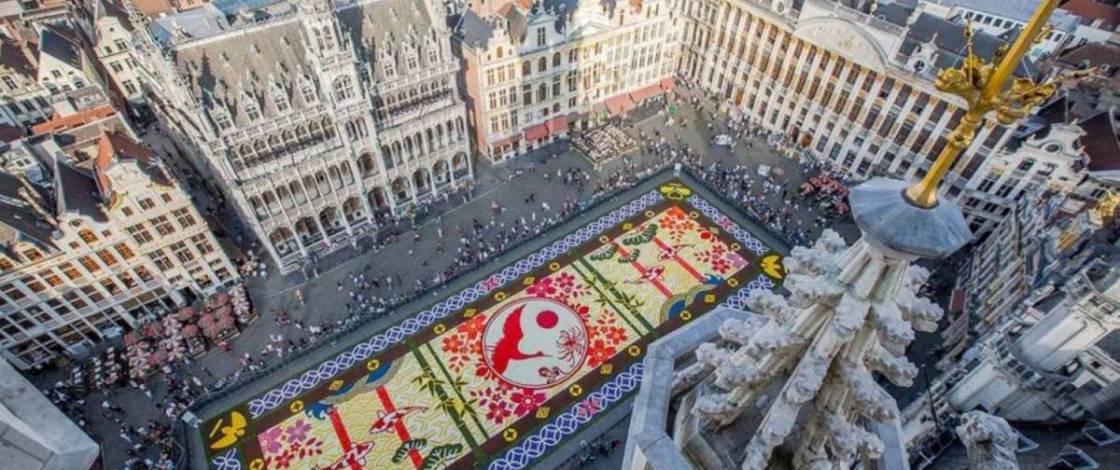 The Flower Carpet returns to Brussels with a major new feature—Dates, theme, performances, and surprises for the 2026 edition