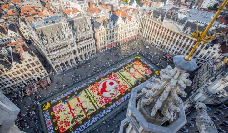 The Flower Carpet returns to Brussels with a major new feature—Dates, theme, performances, and surprises for the 2026 edition