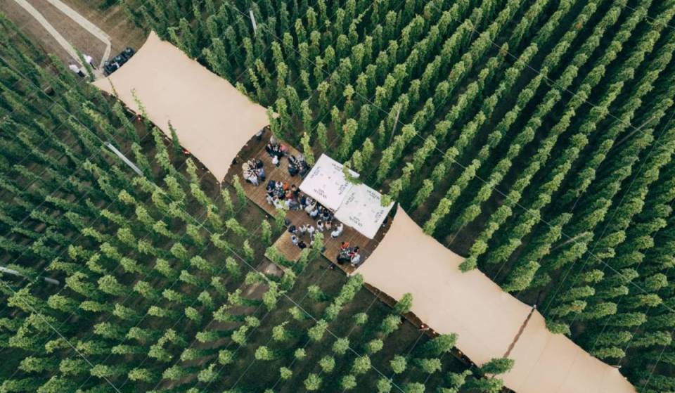 A large table in the middle of the hop fields: this is the most original gourmet experience of late summer in Belgium