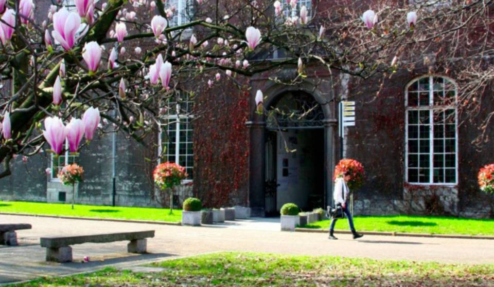 Just 1 hour and 15 minutes from Brussels, this former military barracks is home to a 14th-century priory and more than 2,500 art students—a unique school that hides mysterious Gothic vaults.