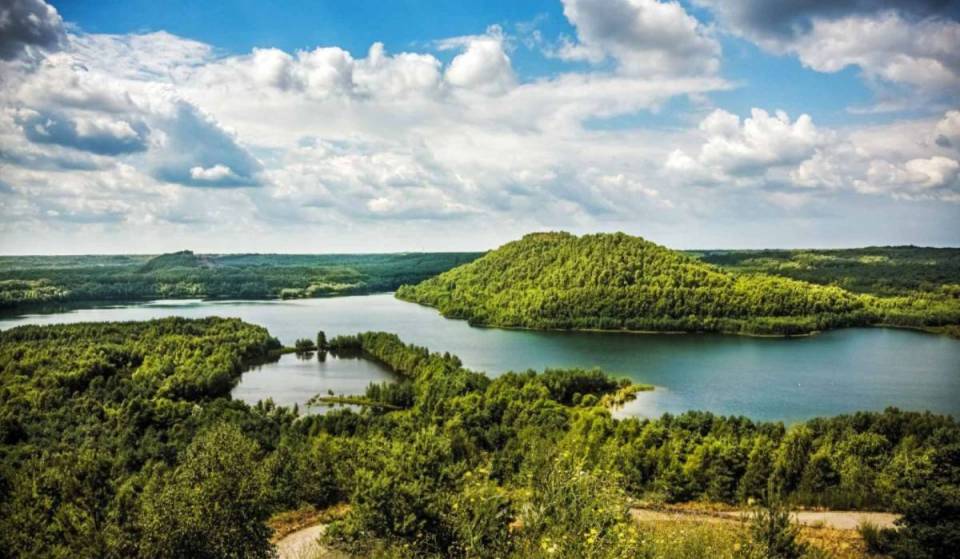 Starting in mid-August, this former mining site transforms its 12,000 hectares of heathland into a spectacular purple blanket—revealing a preserved park at an elevation of 104 meters.
