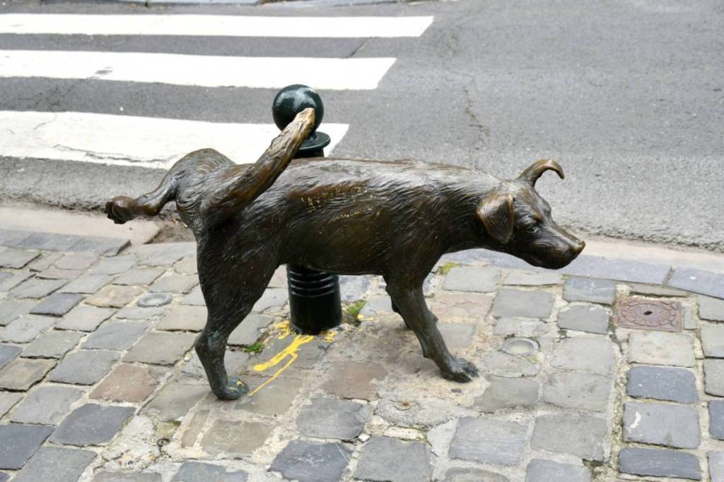 Pour la Journée mondiale du chien, découvrez ce drôle de chien bruxellois devenu un véritable symbole de la capitale