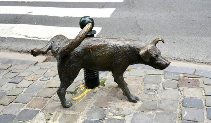 Pour la Journée mondiale du chien, découvrez ce drôle de chien bruxellois devenu un véritable symbole de la capitale