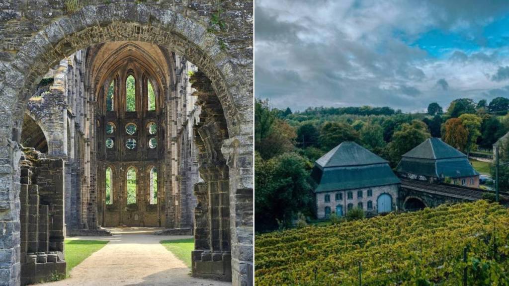 Un vignoble caché dans une abbaye en ruines, un autre où l&rsquo;on vendange soi-même : voici trois domaines à visiter à moins d&rsquo;une heure de Bruxelles