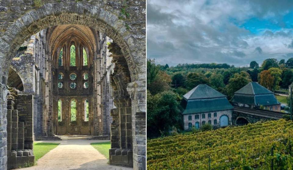 A vineyard hidden within the ruins of an abbey, another where you can harvest the grapes yourself: here are three wineries to visit less than an hour from Brussels