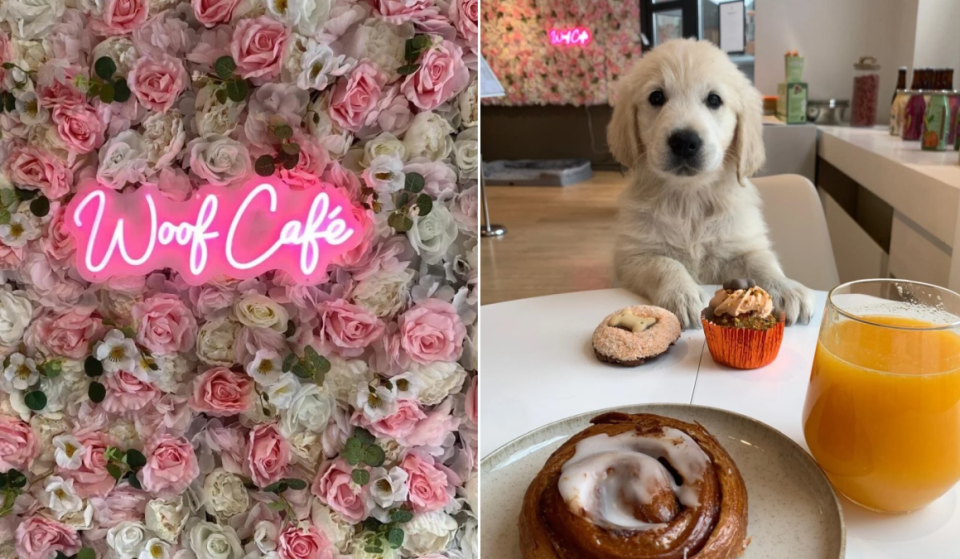 À moins d’une heure de Bruxelles, ce café accueille les chiens comme de vrais clients : ils ont même leur propre menu
