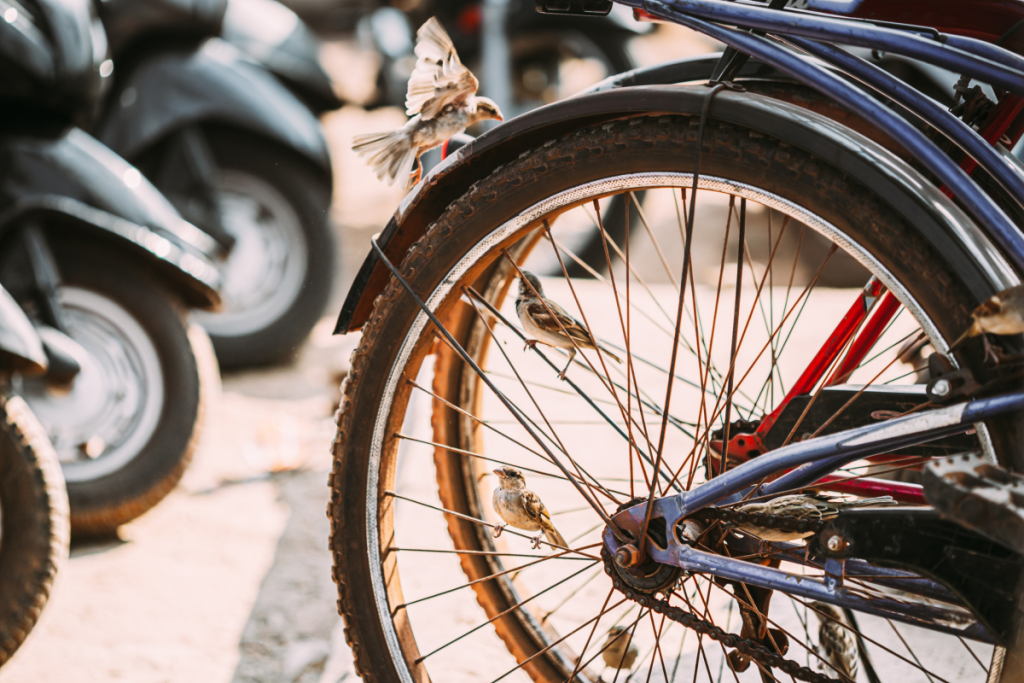 trottinette