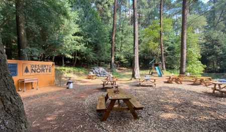 Desierto Norte, el nuevo restaurante en pleno bosque