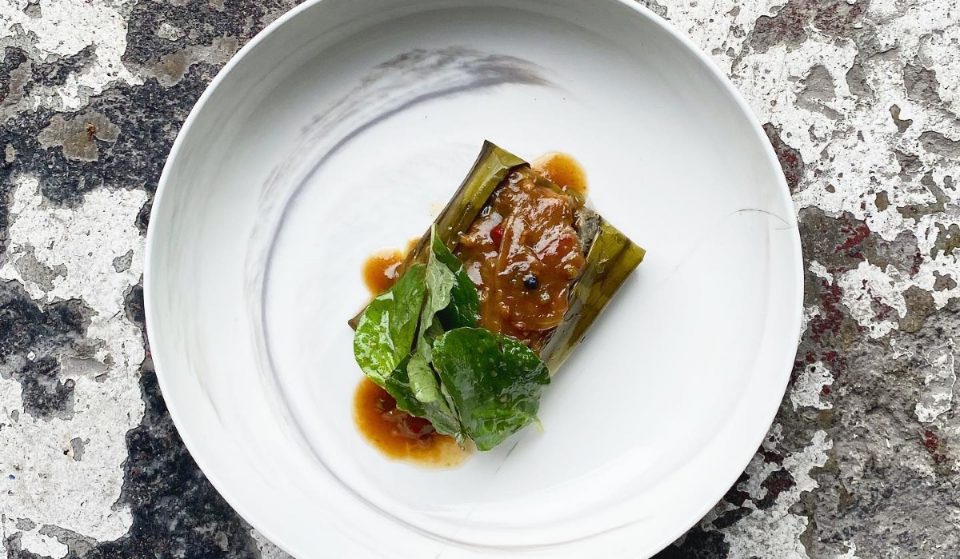 Tamales gourmet en la CDMX: los mejores lugares para probarlos