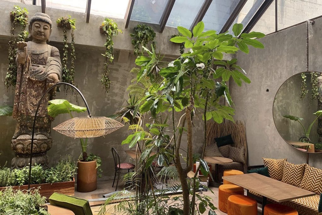 Plantasia: un oasis en medio de la colonia Roma