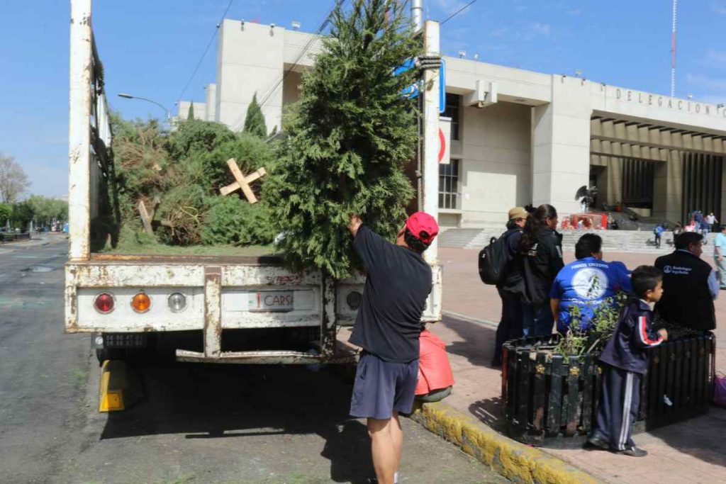 centros de acopio de árboles navideños en CDMX