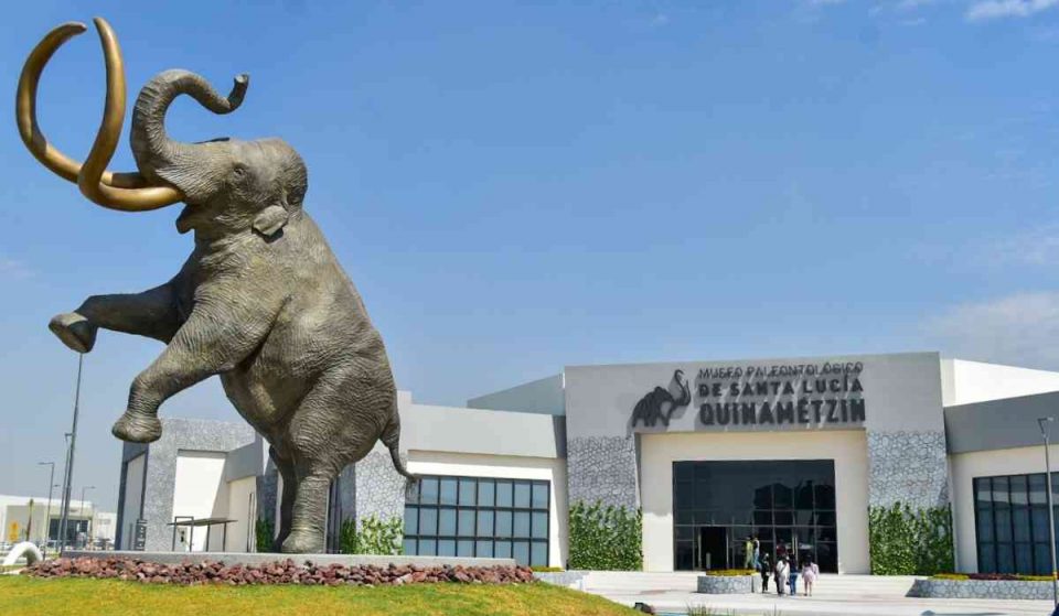 Conoce el Museo del Mamut en el nuevo aeropuerto