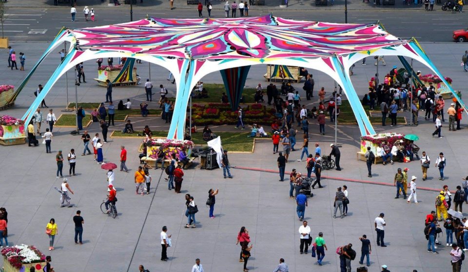 Festival del Bosque y otros eventos que habrá en primavera 2023