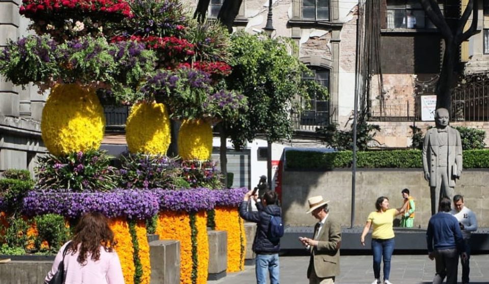 Ya viene el Festival de Flores en el Centro Histórico 2023