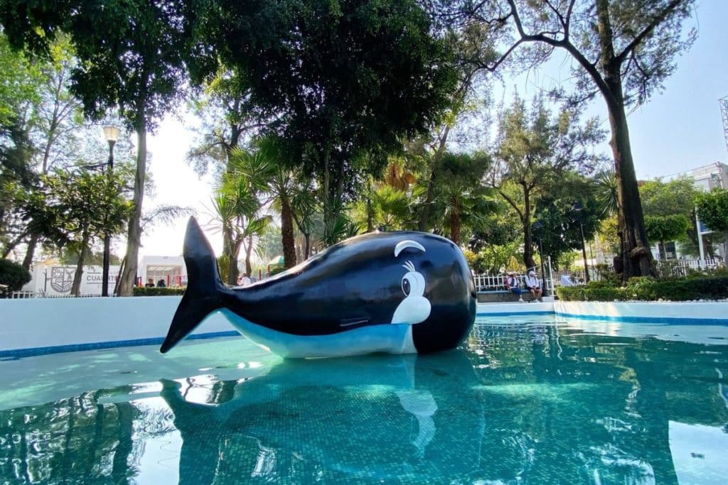 balneario-La-Ballenita-Cuauhtémoc