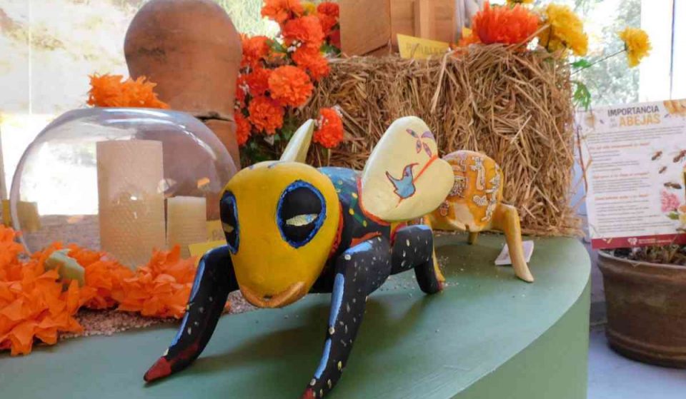 Abejarte: conoce esta expo sobre abejas en Chapultepec