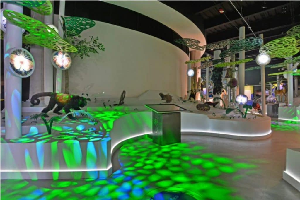 Pabellón Nacional de la Biodiversidad (2)
