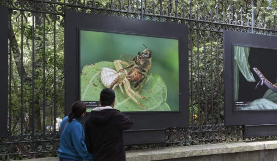 La expo “Visiones De Nuestra Naturaleza VI” ya está en Galería Abierta