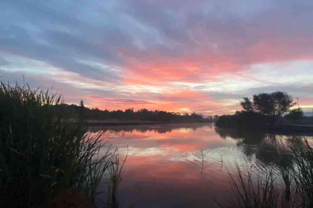 Sitios Para Ver El Amanecer En Cdmx Sitios Para Ver El Amanecer En Cdmx