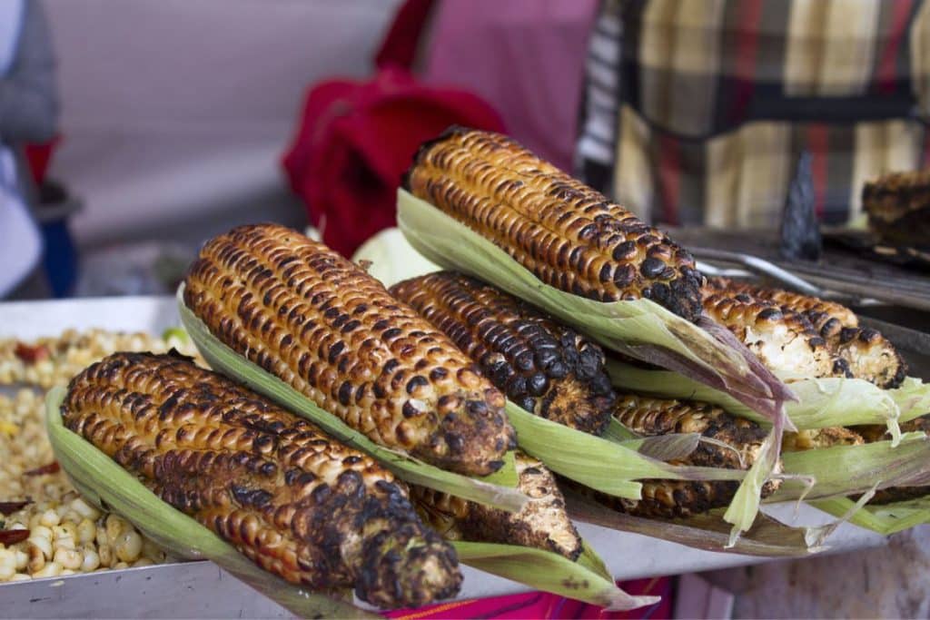 Feria Nacional del Elote-en-Tlalpan-2022