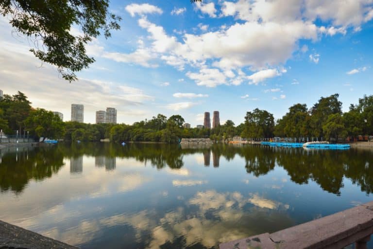 Lagos en CDMX que puedes visitar: ¿cuántos conoces?