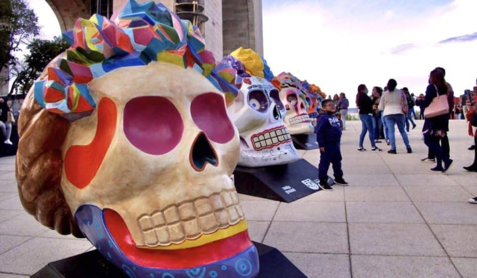 Prepara la cámara: ya está la exposición de Fridacráneos 2022