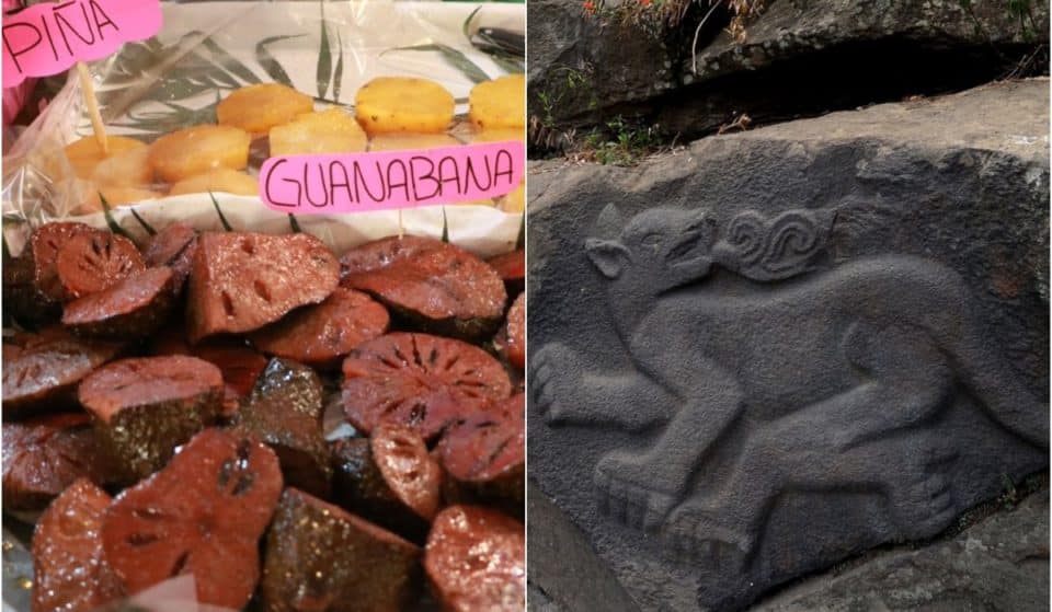 De dulces a museos: los secretos de Santa Cruz Acalpixca