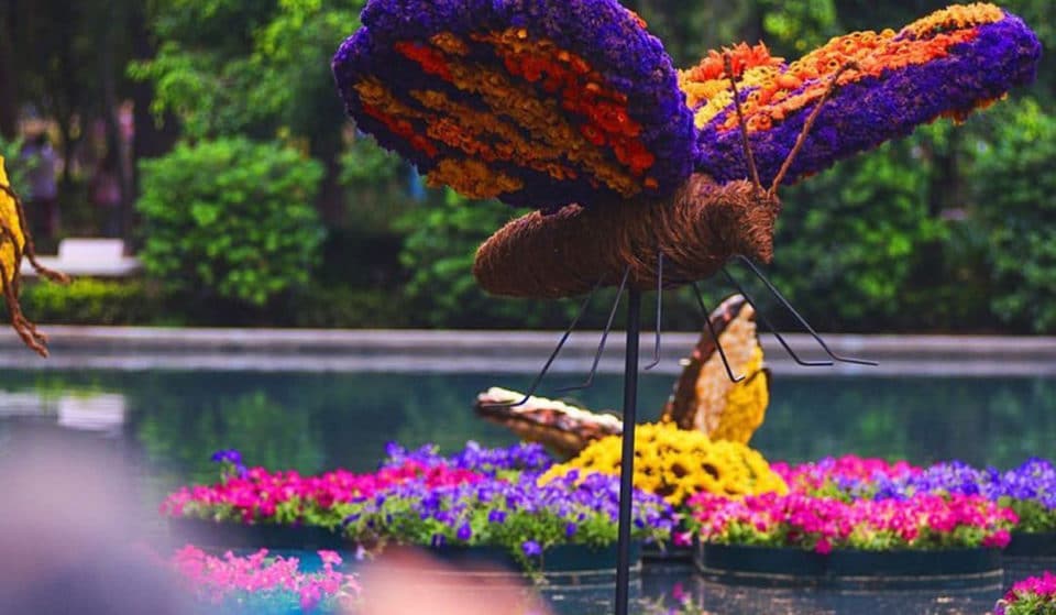 4 planes imperdibles del Festival de Flores y Jardines 2022