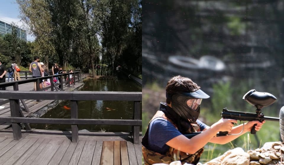 Cosas que no sabías que puedes hacer en Parque Bicentenario