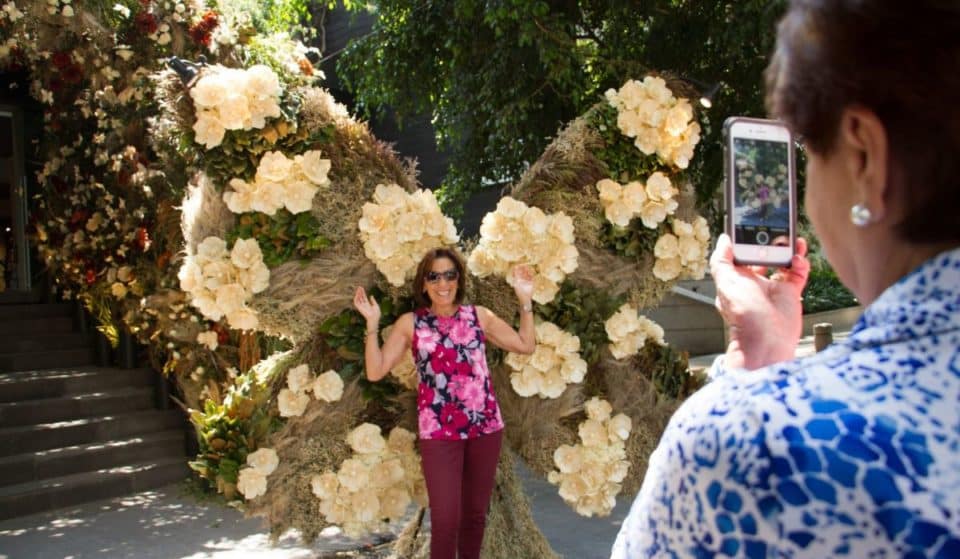 ¡Ya viene el Festival de Flores y Jardines 2022 en Polanco!