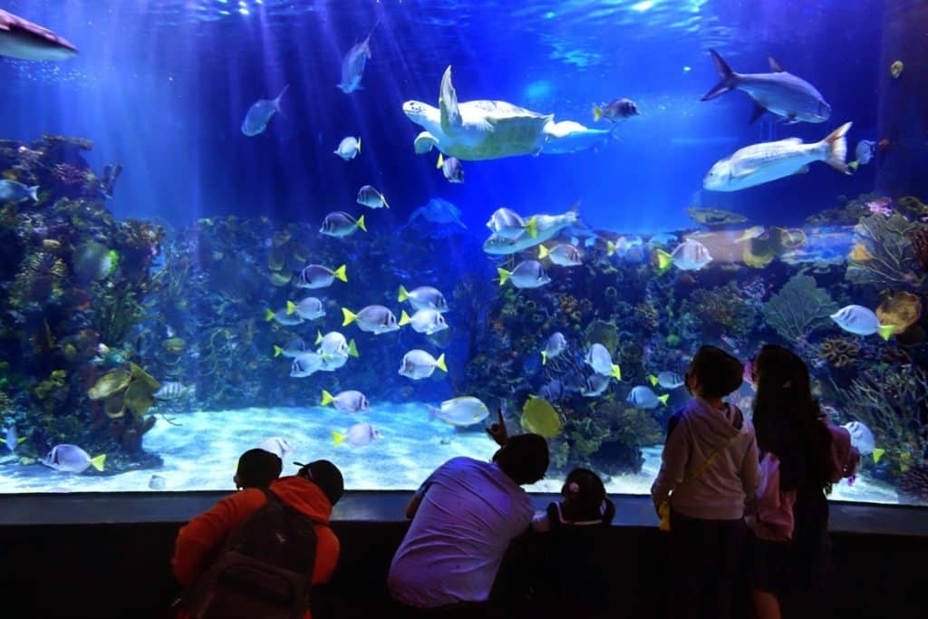 What to do on Mondays in CDMX