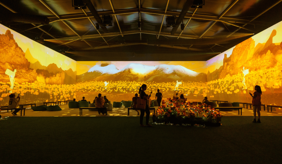 ¡Se te está acabando el tiempo para visitar Victoria Cempasúchil!