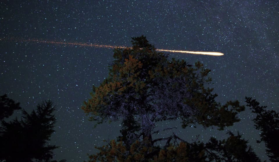 Canto del Bosque: Escápate y camina bajo las estrellas
