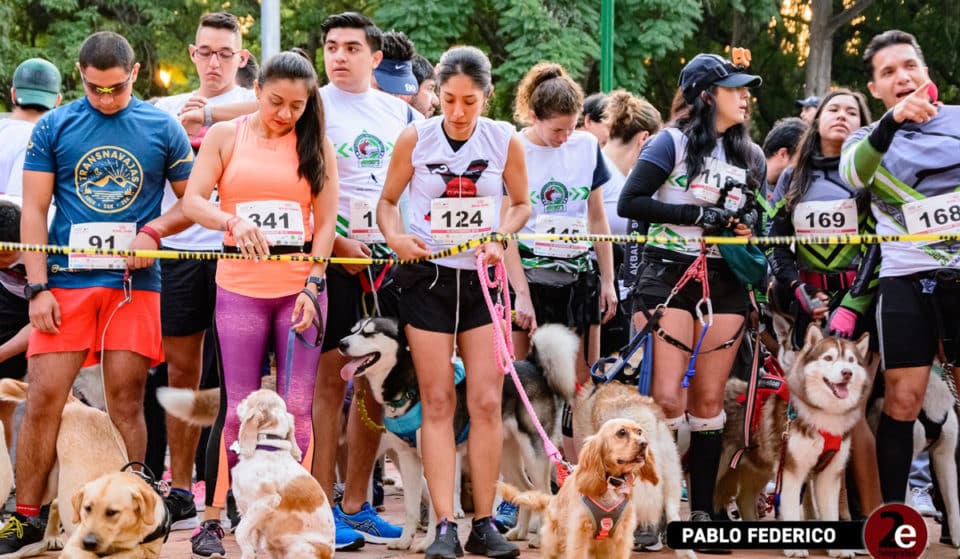 Dog Running Color 2022: ¡Sal a correr con Milaneso!