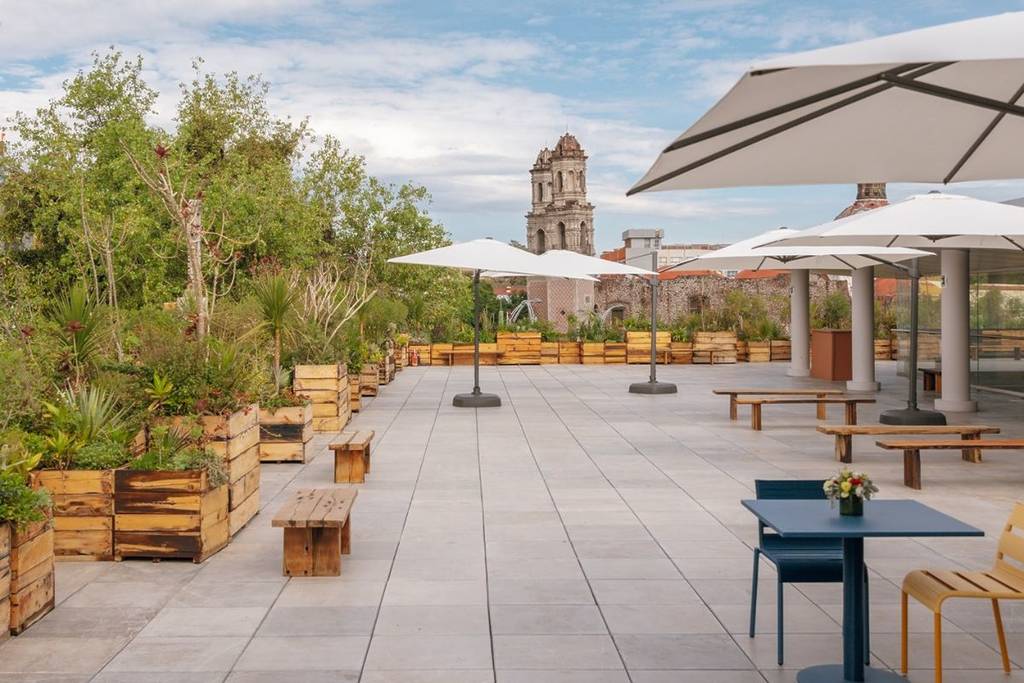 kaluz museum terrace what to do on mondays in cdmx