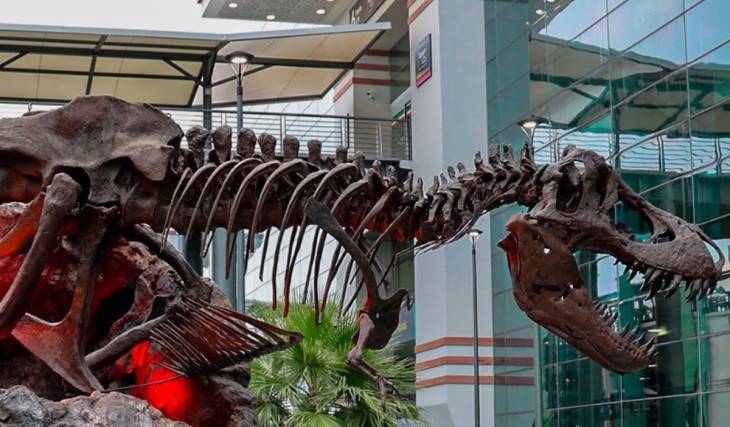 Exposiciones en CDMX para ver en agosto de 2026