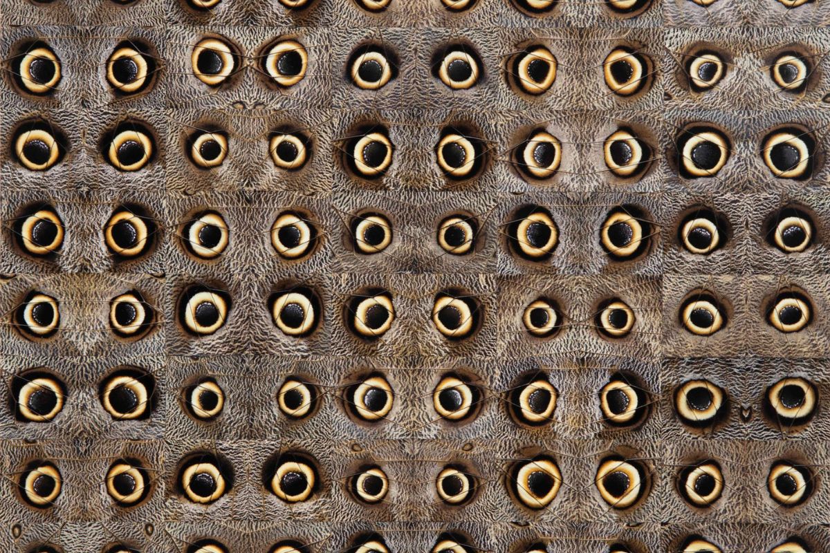 expo gabriel de la mora museo jumex