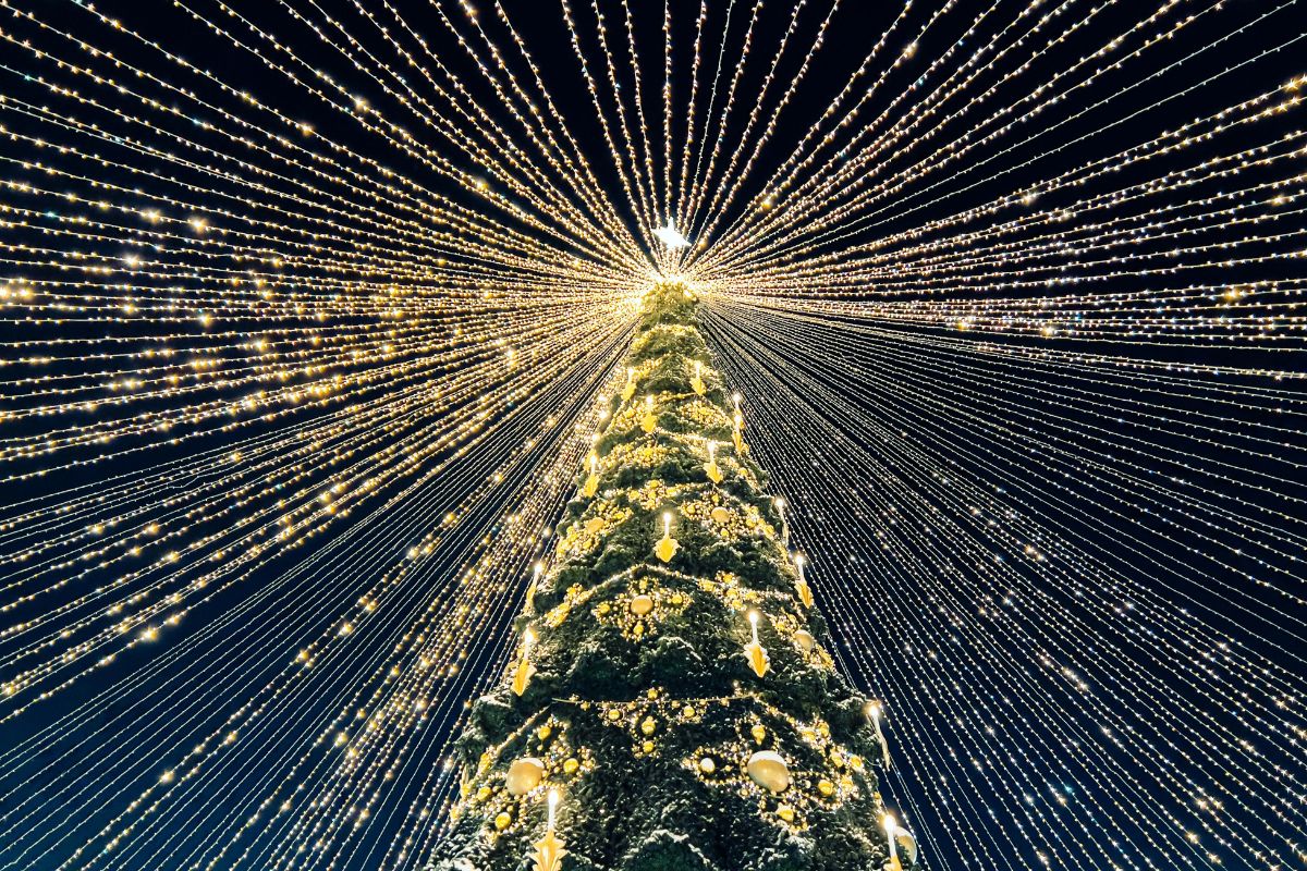 qué hacer este fin de semana en cdmx 5 al 7 de diciembre