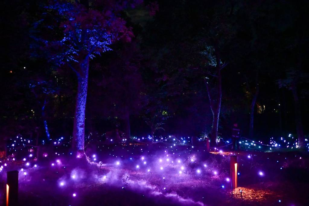 light cycles luces chapultepec